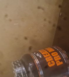 ikkji, 33 years old, Straight, Woman, La Spezia, Italy