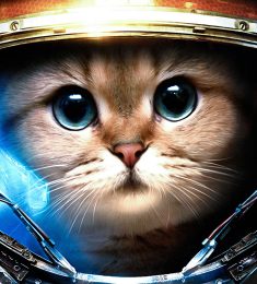 Denis, 44 years old, Straight, Man, Abakan, Russia