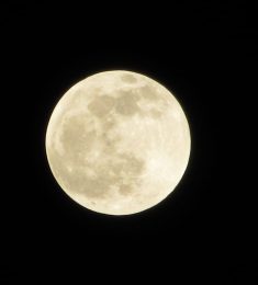 Lazar Zhivkov, 49 years old