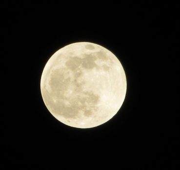 Lazar Zhivkov,  years old, 