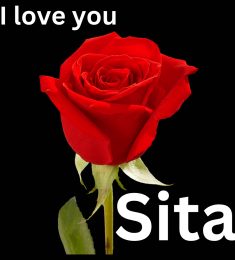 Jon doe, 28 years old, Bisexual, Man, Kathmandu, Nepal